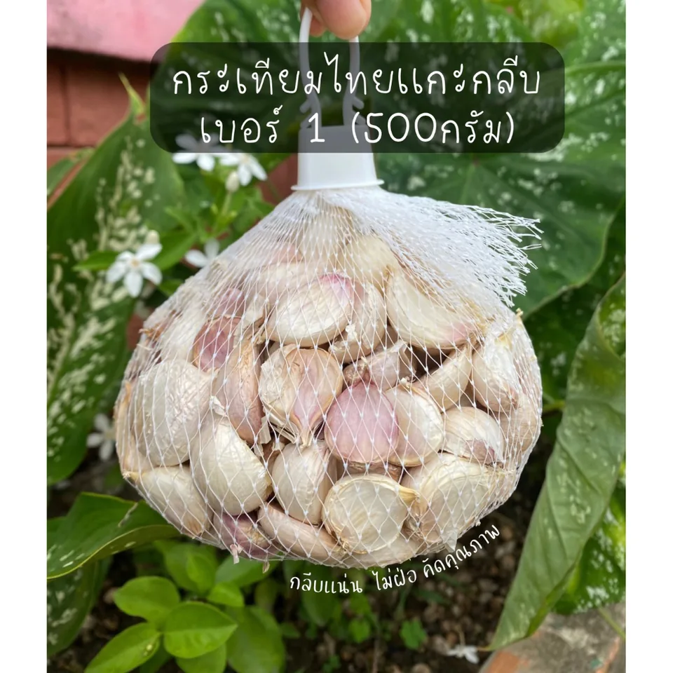 Thai garlic cloves · grade 1