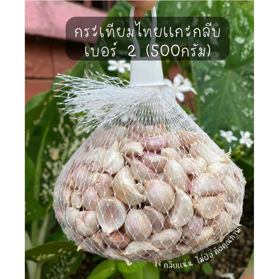 Thai garlic cloves · grade 2
