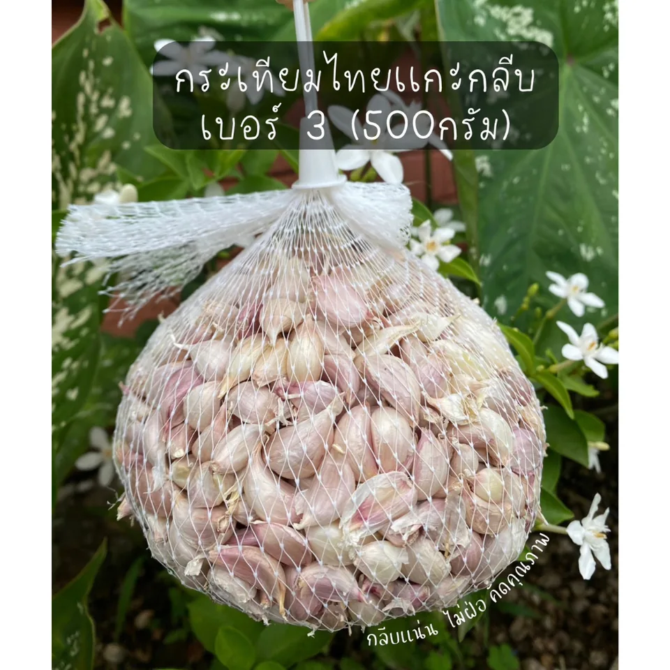 Thai garlic cloves · grade 3