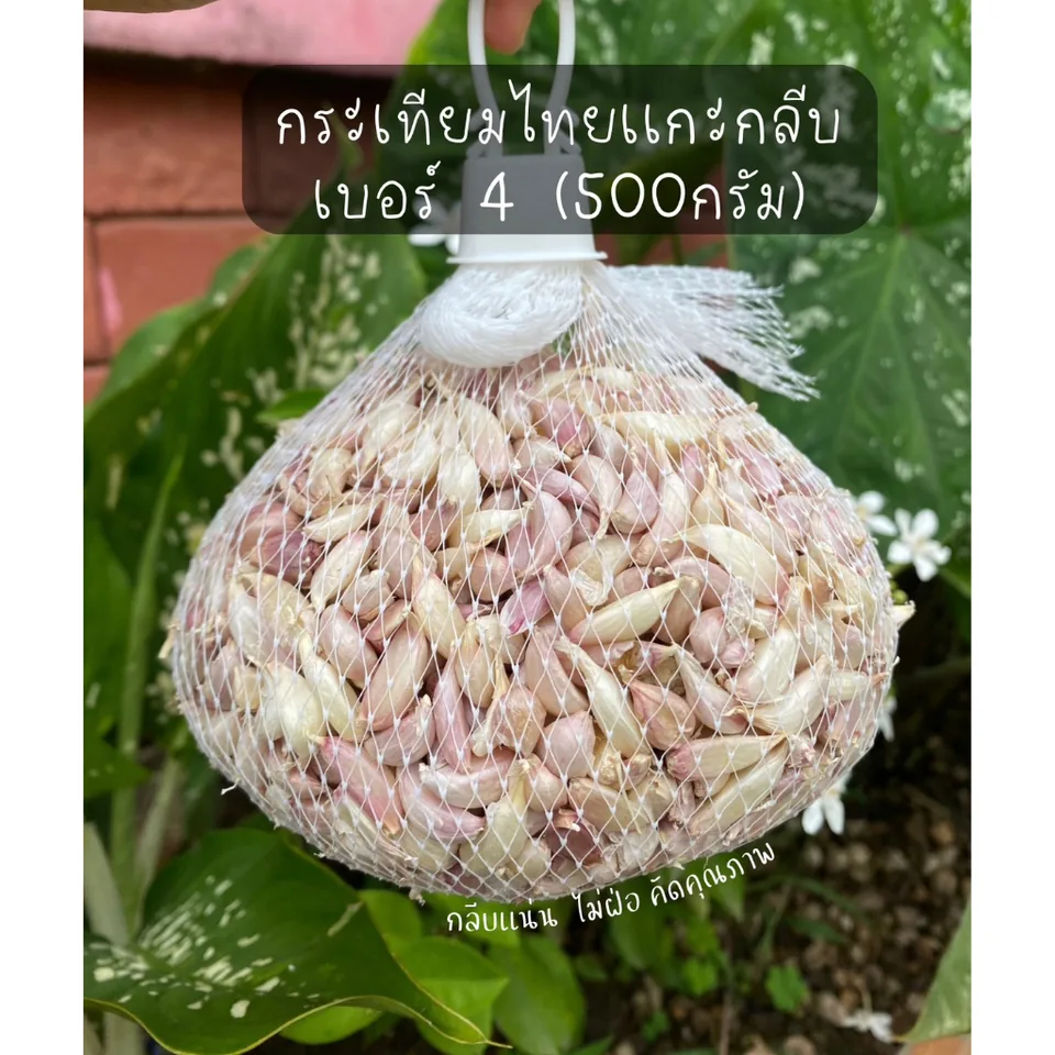 Thai garlic cloves · grade 4
